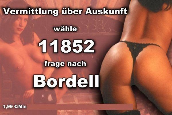 Bordell ohne 0900 Nummer